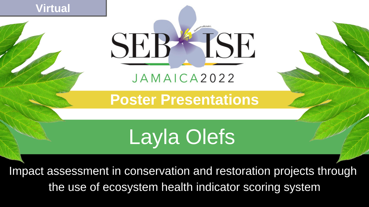 Poster Presentation Video: Layla Olefs