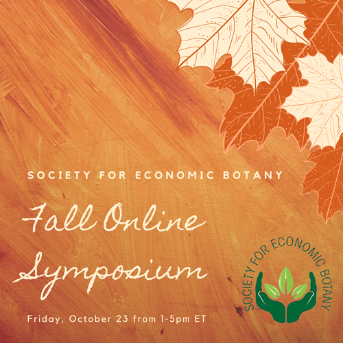 SEB Fall Online Symposium